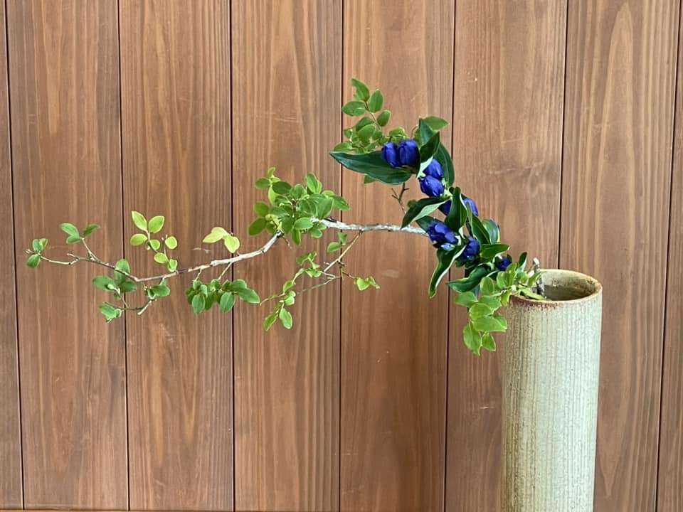 華道教室：７月